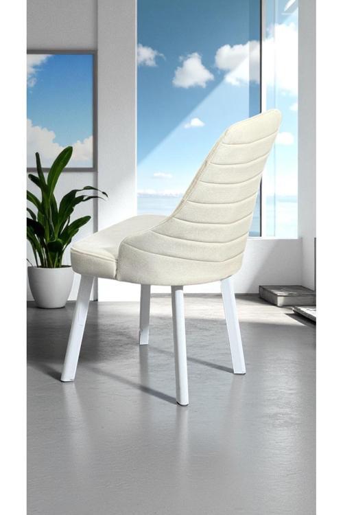 2 Adet Erciyes Sandalye Mutfak Cafe Restaurant Proje Metal Lüks Sandalye