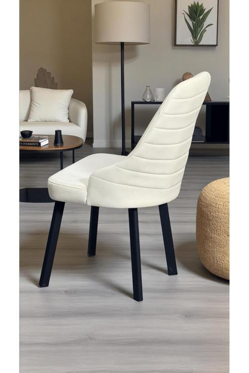 2 Adet Erciyes Sandalye Mutfak Cafe Restaurant Proje Metal Lüks Sandalye