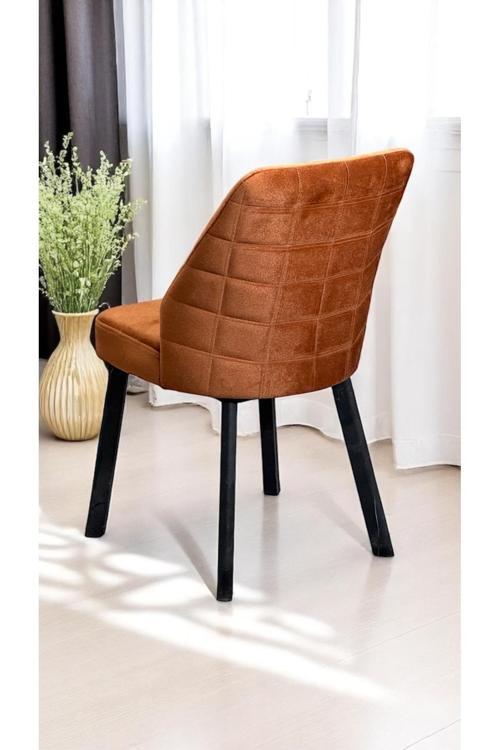 2 Adet Leksus Sandalye Mutfak Cafe Restaurant Proje Metal Lüks Sandalye