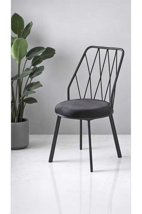 Yıldız Pro 2 Adet Mutfak Sandalyesi Metal Sandalye Tel Sandalye Cafe Restaurant Sandalyesi