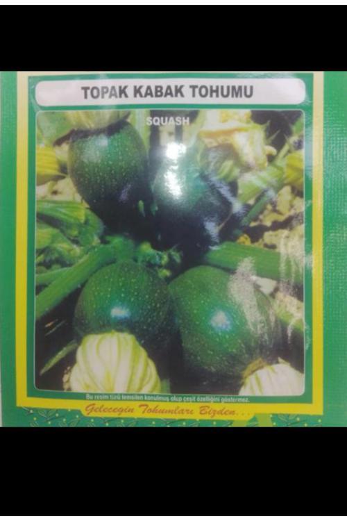 Topak Kabak Tohumu 5 Gr