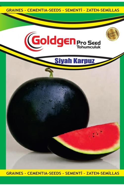 Siyah (Halep) Karpuzu Tohumu
