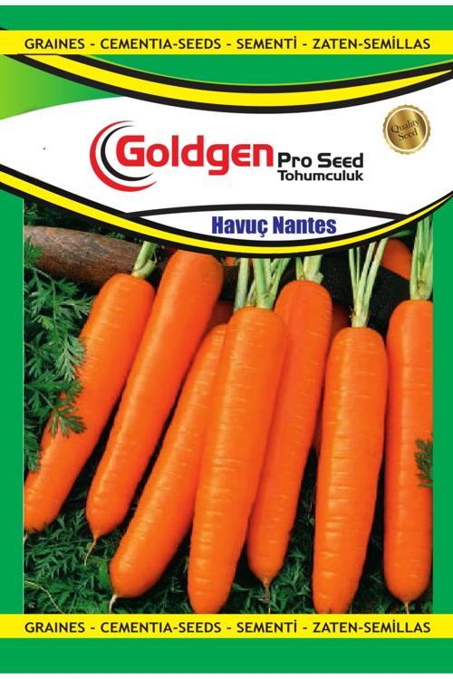Nantes Havuç Tohumu