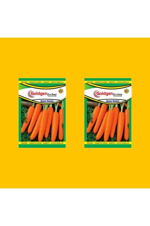 Nantes Havuç Tohumu 2 Paket