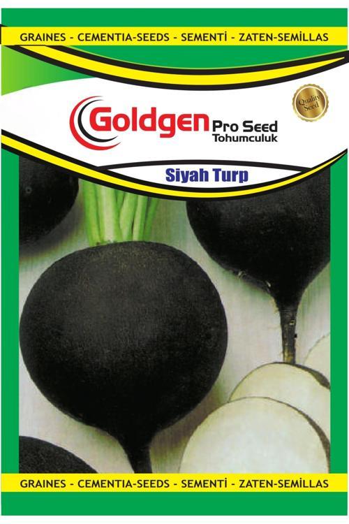 Siyah Turp Tohumu