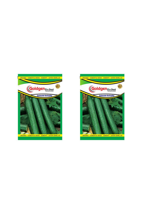 Salatalık Tohumu 2 Paket