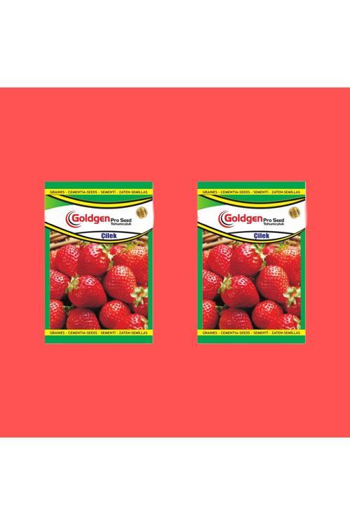 Çilek Tohumu 2 Paket