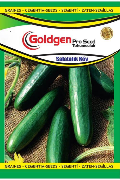 Köy Salatalığı Tohumu