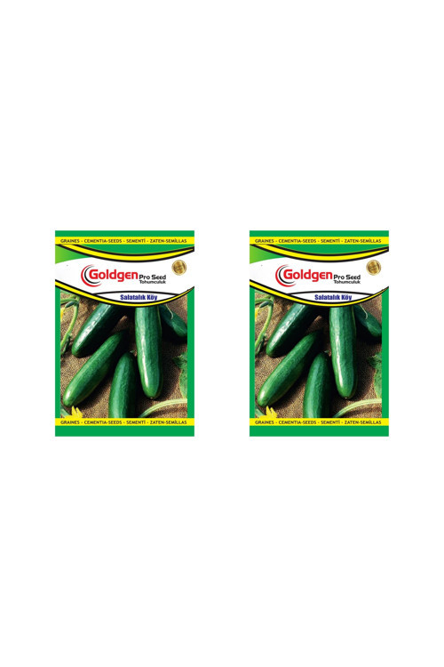 Köy Salatalığı Tohumu 2 Paket