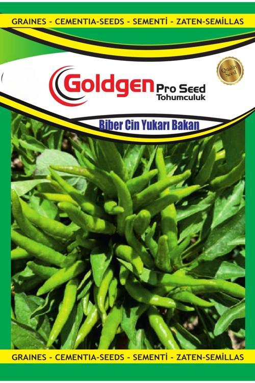 Yukarı Bakan Cin Biber Tohumu