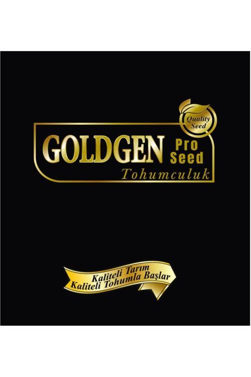 Sarı Bal Kavun Tohumu