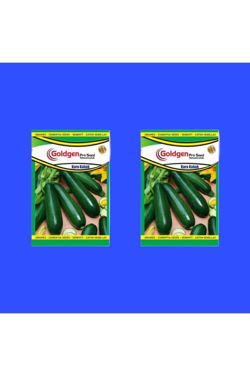 Kara Kabak Tohumu 2 Paket