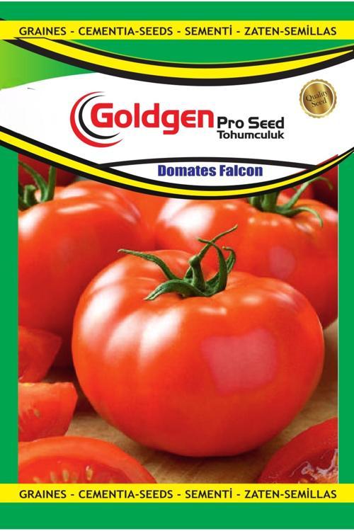 Falcon Domates Tohumu