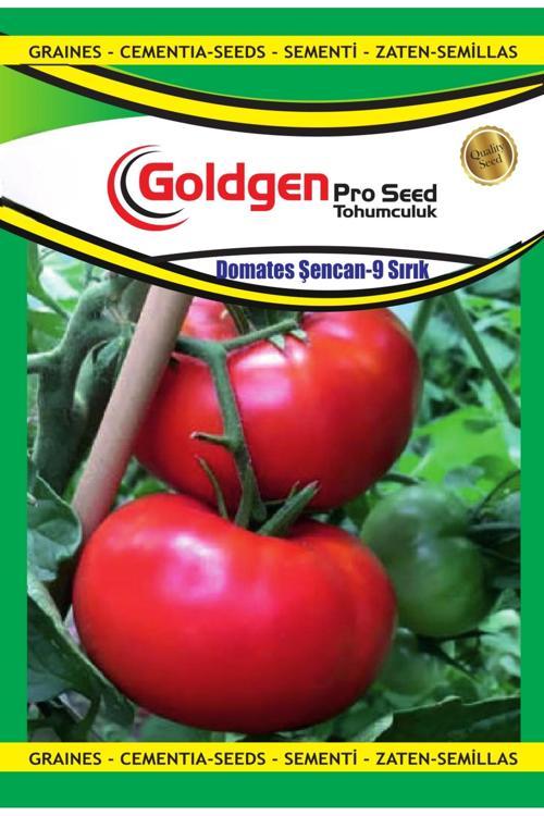 Şencan Sırık Domates Tohumu