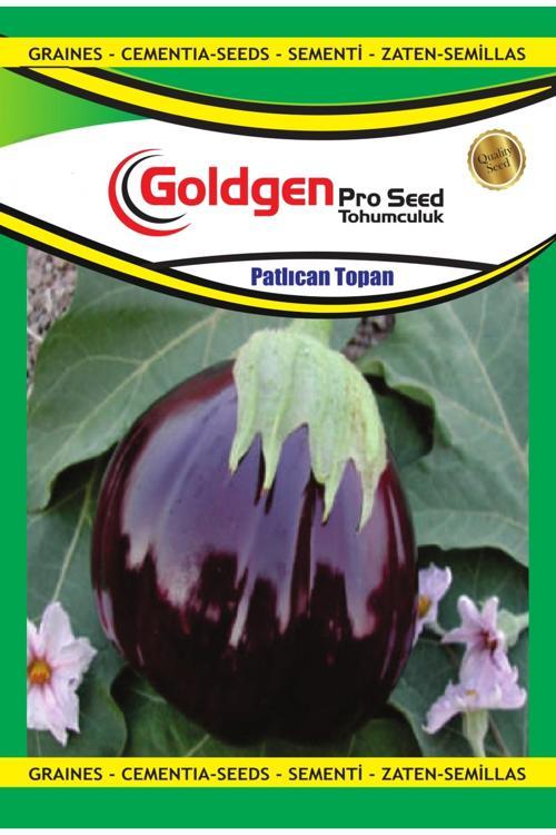 Patlıcan Topan Tohumu