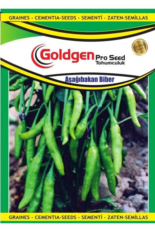 Aşağı Bakan Cin Biber Tohumu
