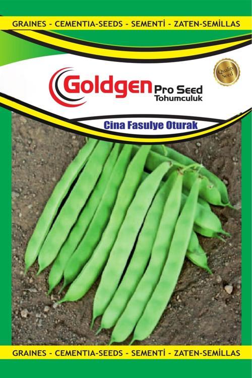 Cina Oturak Fasulye Tohumu