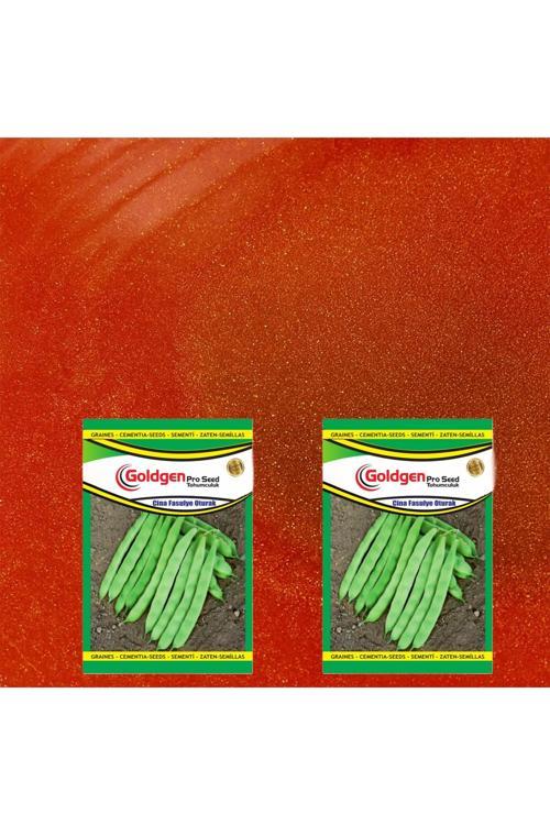 Cina Oturak Fasulye Tohumu 2 Paket