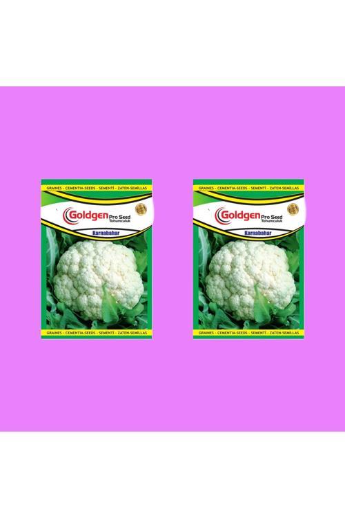Karnabahar Tohumu 2 Paket