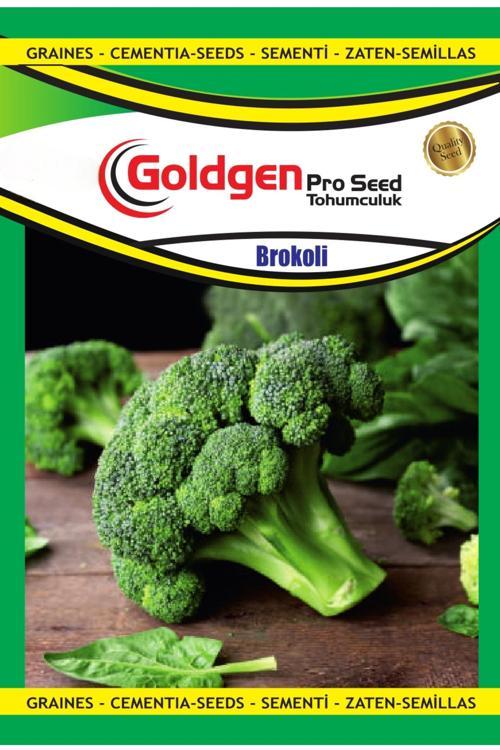 Brokoli Tohumu