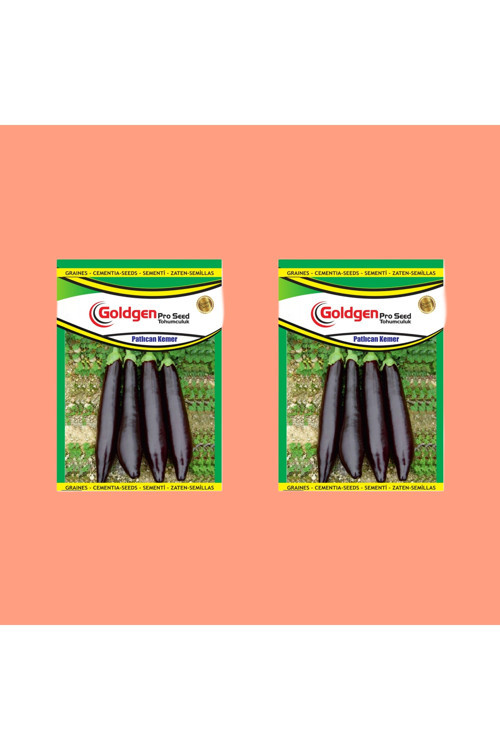 Kemer Patlıcan Tohumu 2 Paket