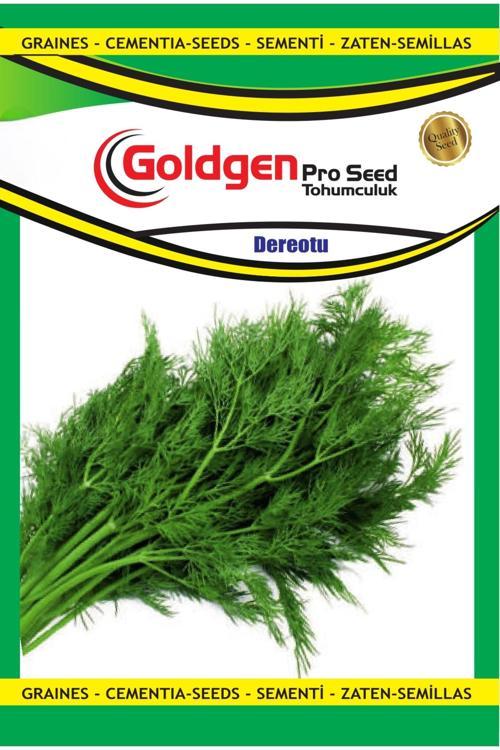 Dereotu Tohumu