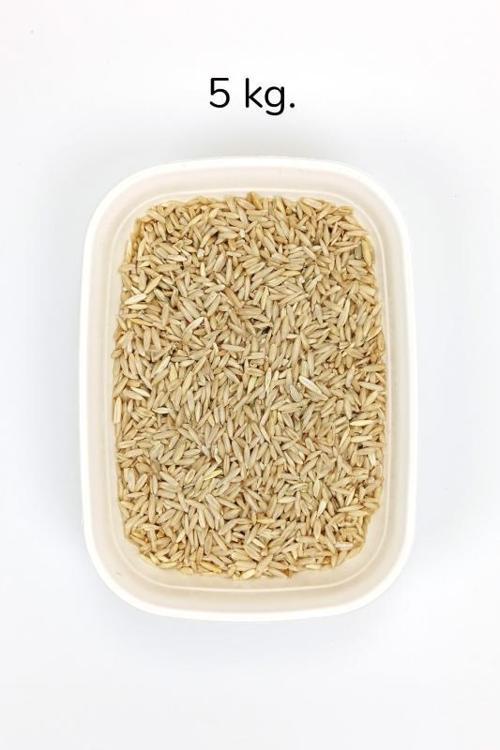 Tüm Kuşlar İçin Doğal Taze Soyulmuş İç Yulaf - 5 kg