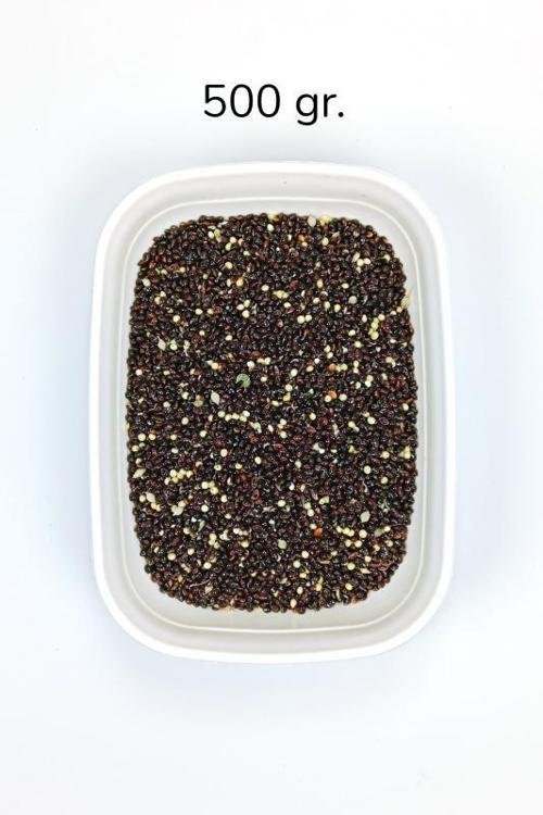 Siyah Darı Sade Tozsuz Doğal Taze Kuş Yemi - 500 gr