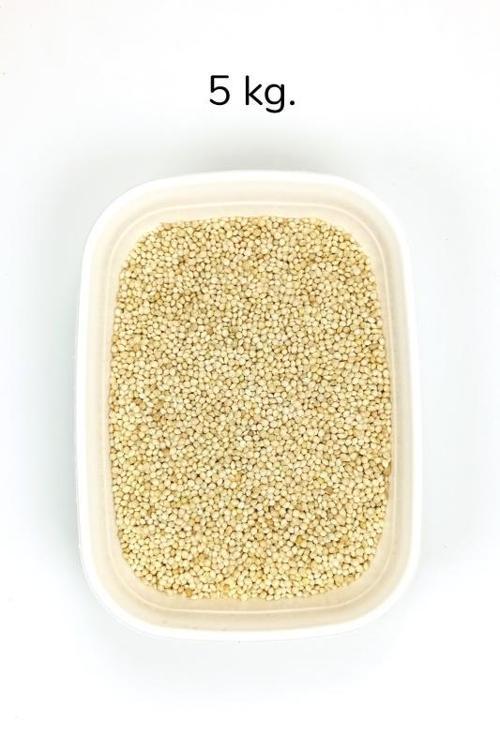 Ak Darı Sade Tozsuz Doğal Taze Kuş Yemi - 5 kg