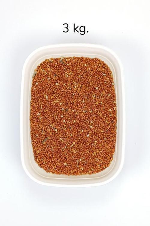 Kırmızı Darı Sade Tozsuz Doğal Taze Kuş Yemi - 3 kg