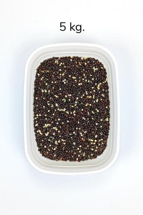 Siyah Darı Sade Tozsuz Doğal Taze Kuş Yemi - 5 kg