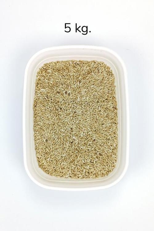 Doğal Taze Kanarya Sade Kuş Yemi - 5 kg