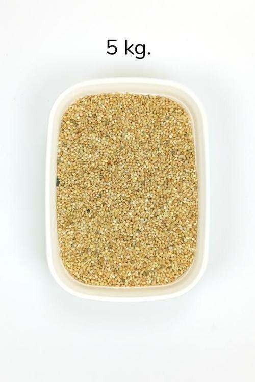 Muhabbet ve Tüm Egzotik Kuşlar İçin Doğal Taze Tane Sarı Darı - 5 kg