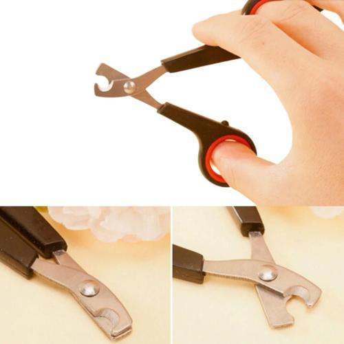 Evcil Hayvan Tırnak Makası Ve Törpü Seti Manikür Pedikür Pati Bakım Aleti Kaymaz Sap (5250)