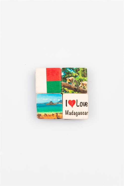 Madagaskar Temalı Dörtlü Taş Magnet