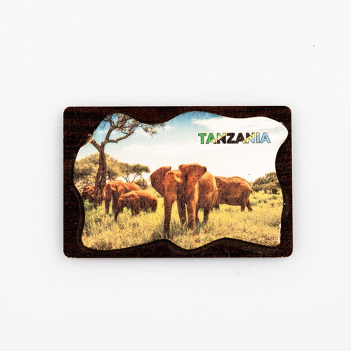Tanzanya Temalı Deri Magnet Ahşap Tabaka