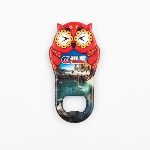 Şili Temalı Baykuş Magnet Kapak Açacak