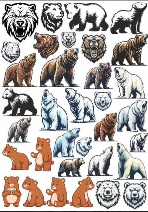 Ayı Sticker Set