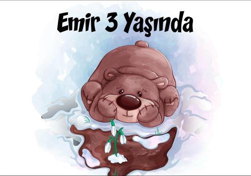 Ayıcık Temalı Doğum Günü Afişi 35X50 cm