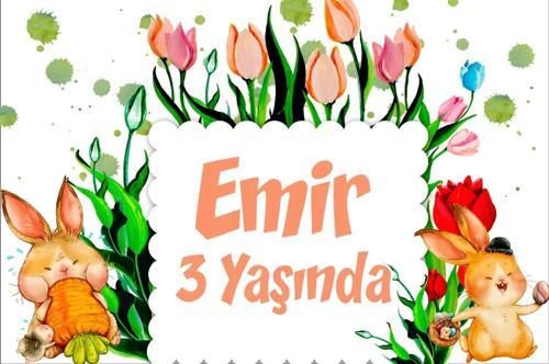 Tavşanlar Temalı Doğum Günü Afişi -1 50X70 cm