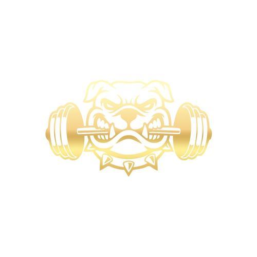 Bulldog Araba Sticker 17x17 Cm Gold