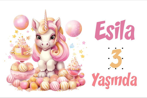 Pembe Unicorn Temalı Doğum Günü Afişi -1 70X100 cm