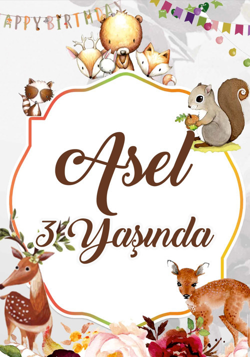 Sincap ve Sevimli Hayvanlar Temalı Doğum Günü Afişi 50X70 cm