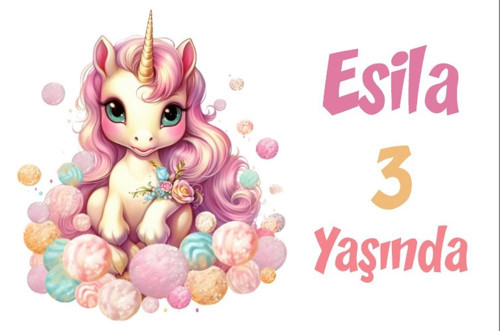 Pembe Unicorn Temalı Doğum Günü Afişi -7 50X70 cm