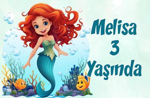 Deniz Kızı Temalı Doğum Günü Afişi -3 50X70 cm