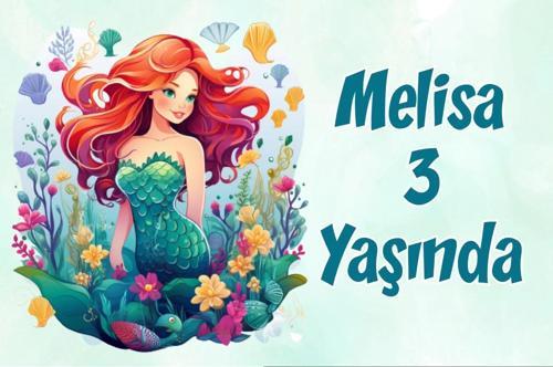 Deniz Kızı Temalı Doğum Günü Afişi 70X100 cm