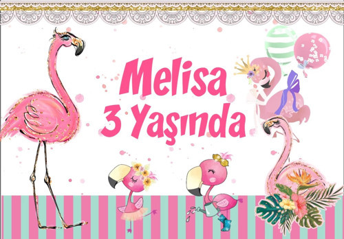 Flamingo Temalı Doğum Günü Afişi 50X70 cm
