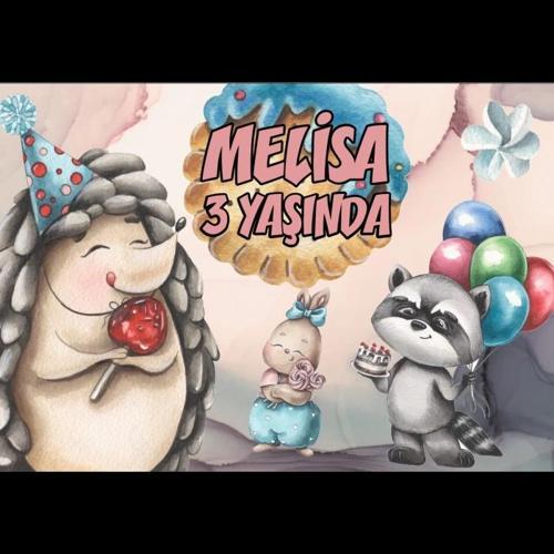 Sevimli Hayvanlar ve Şeker Temalı Doğum Günü Afişi 70X100 cm