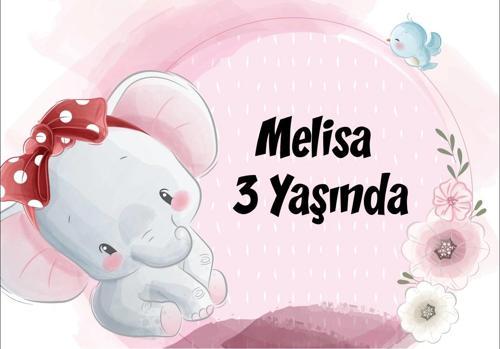 Fil Temalı Doğum Günü Afişi 100X150 cm