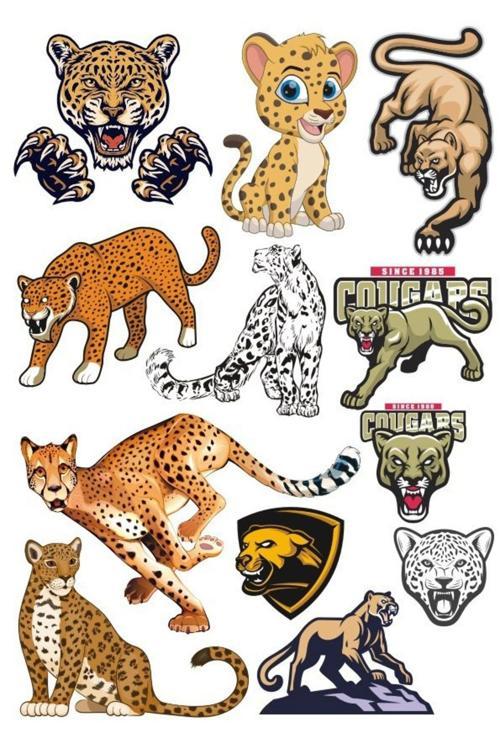 Leopar Sticker Set-3 13 Parça Telefon, Tablet, Defter, Laptop Sticker
